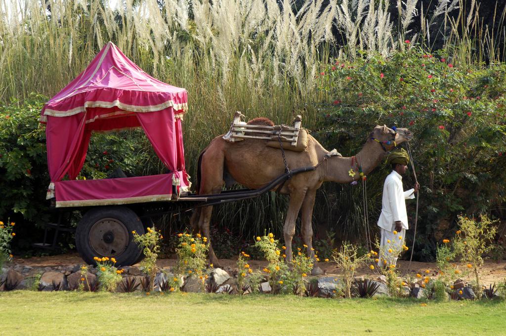 Pushkar Resort Exteriör bild