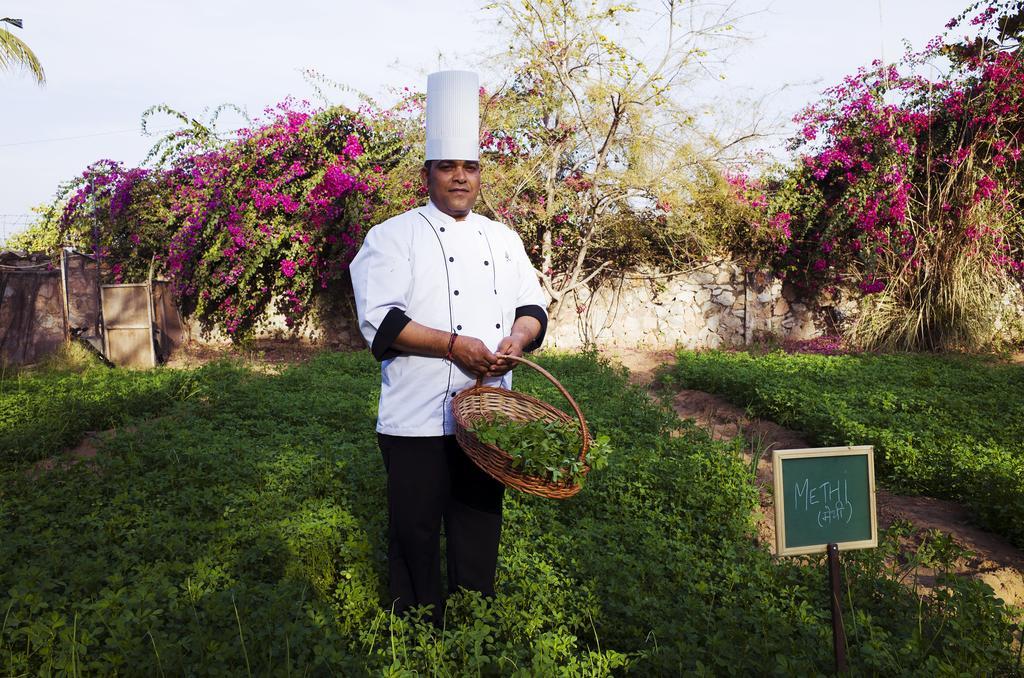 Pushkar Resort Exteriör bild