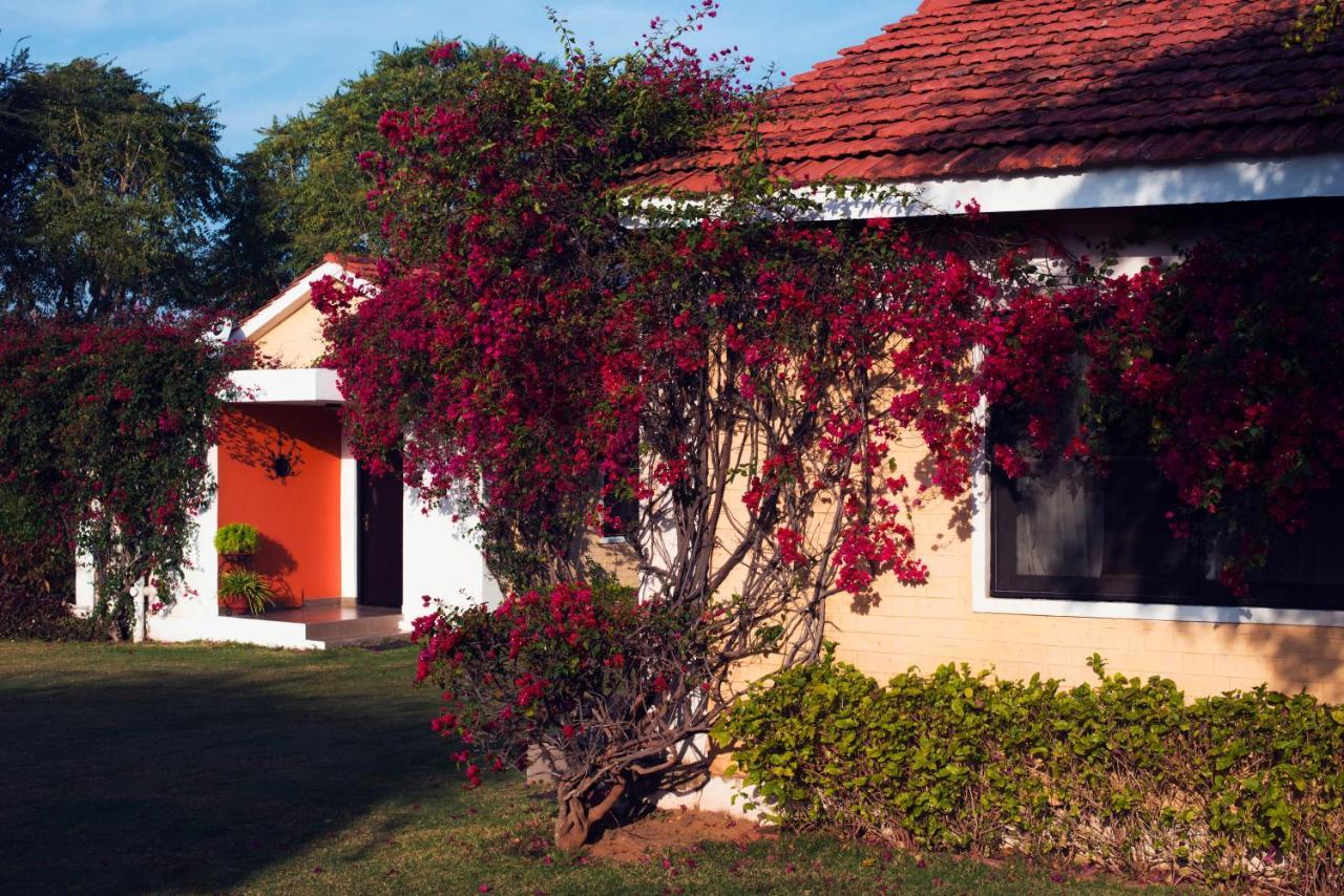 Pushkar Resort Exteriör bild