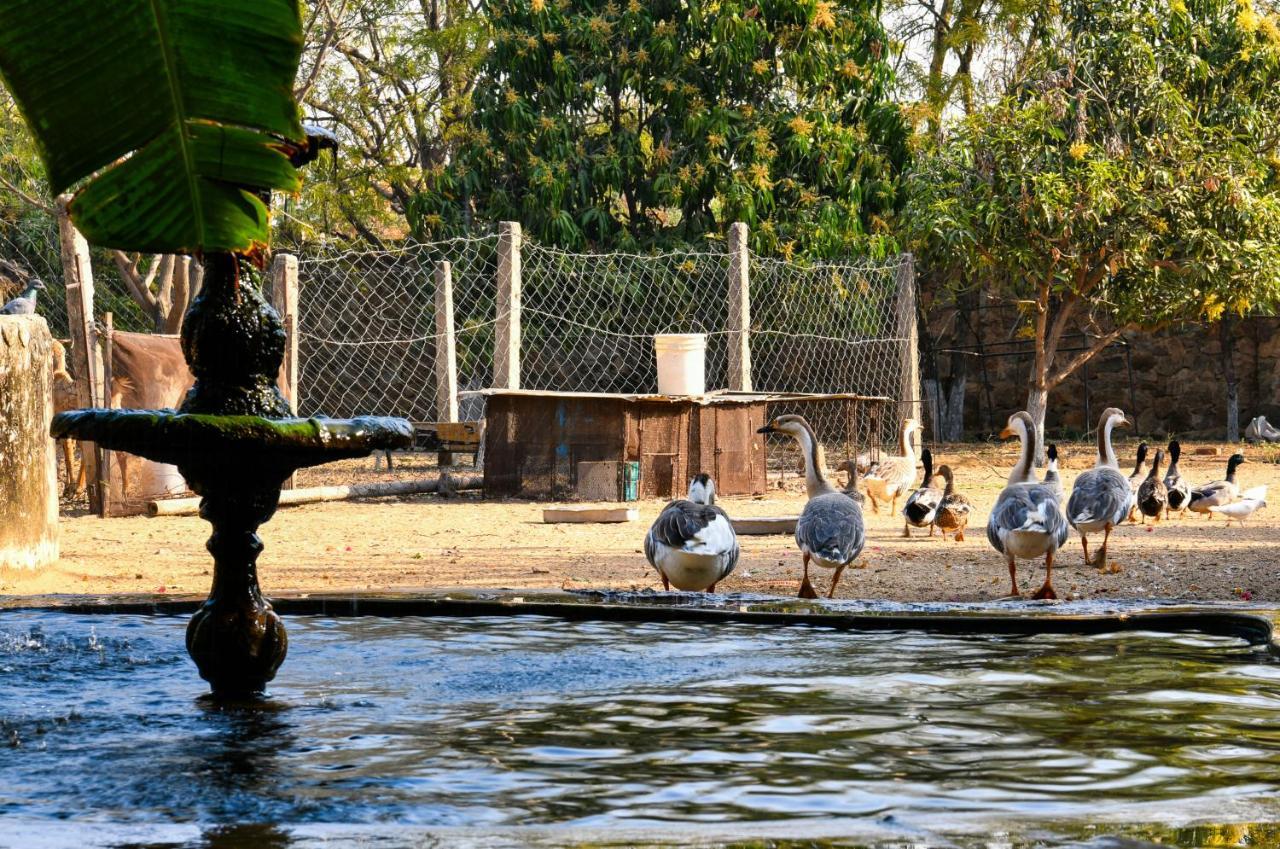 Pushkar Resort Exteriör bild