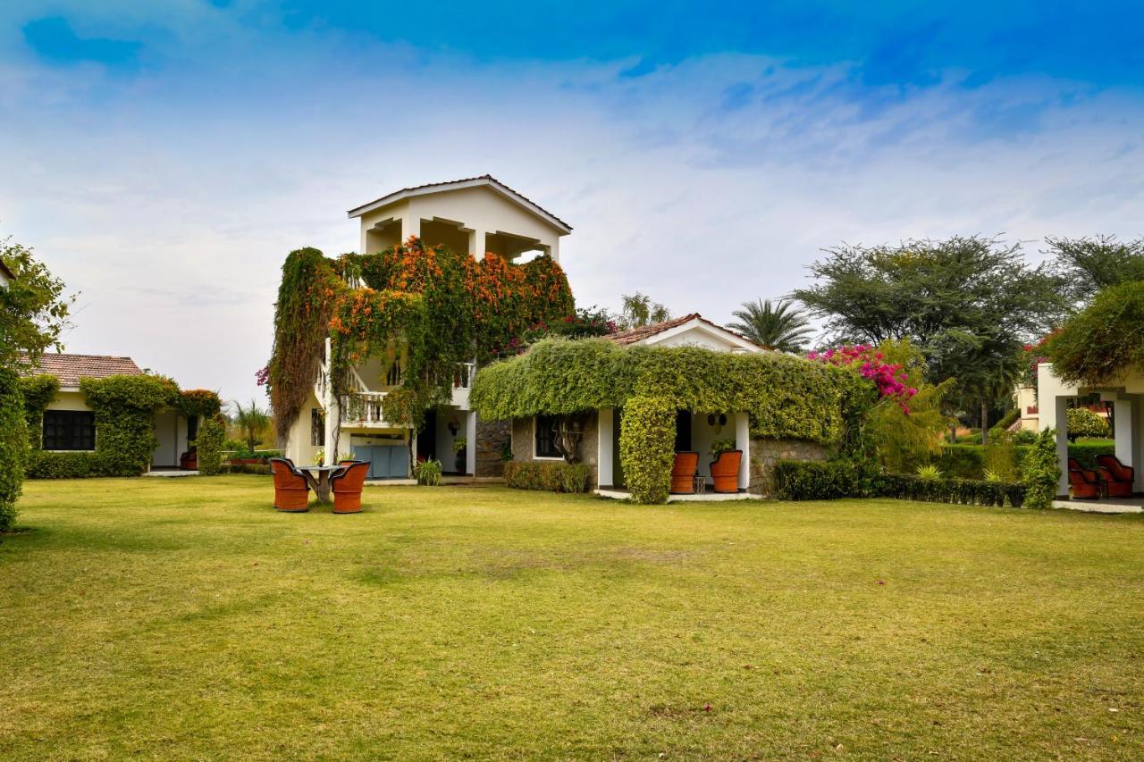 Pushkar Resort Exteriör bild
